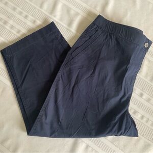 Chico's Dark Blue Chinos for Men